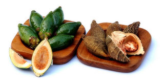 fresh dried betelnut from Thaliand top betel nut exporter importer dealer